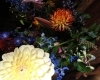 DSC07885.JPG