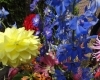 DSC07887.JPG
